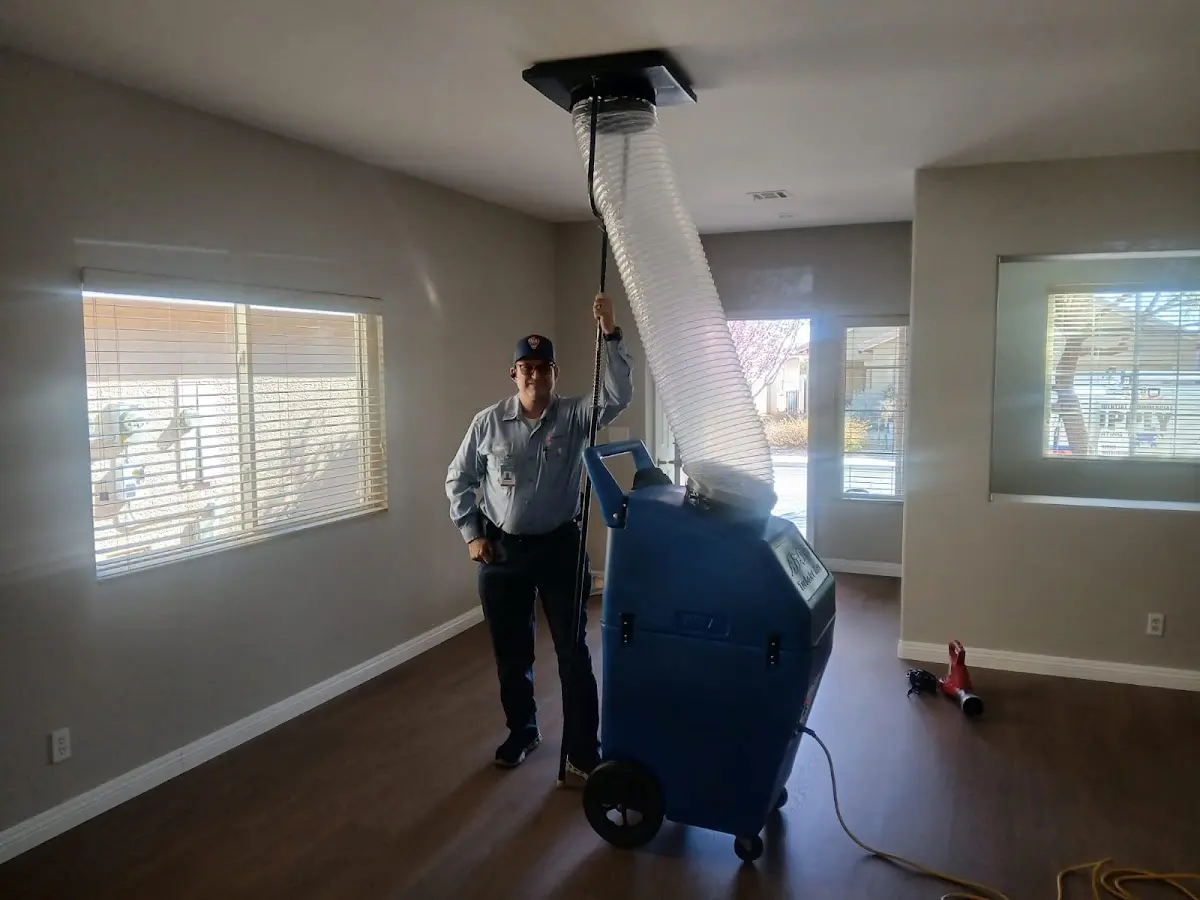 Professional Dryer Vent Cleaning work inside a Wilton home